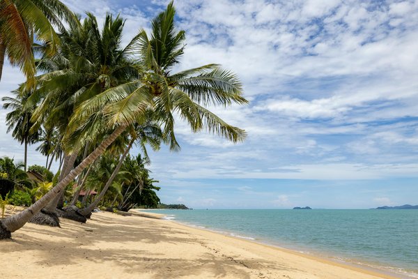 Évasion Photographique au Fil des Saisons : Découvrez le Canal du Midi en Images