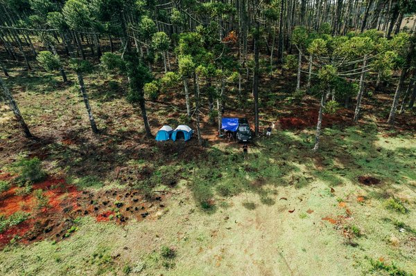 Comment les agences de voyage s'adaptent-elles aux nouvelles attentes des clients ?