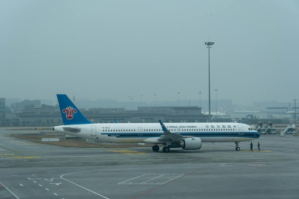 Explorez pourquoi vivre un safari en Afrique est une expérience bien plus fascinante qu'une simple sortie au zoo !