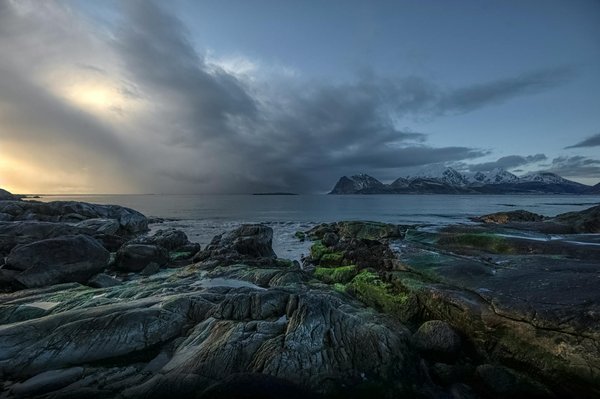 Explorez des Offres Inédites de Glamping pour les Amateurs de Camping Luxueux !